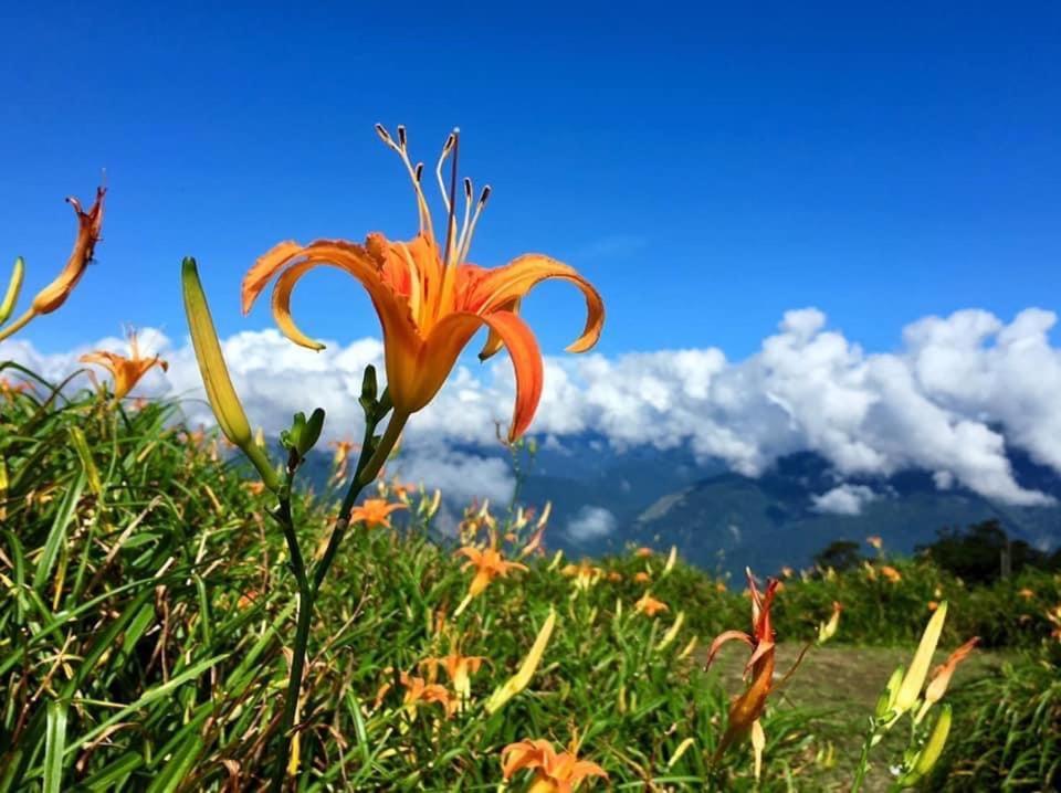 Mountain Lodge Thái Ma Lí Ngoại thất bức ảnh